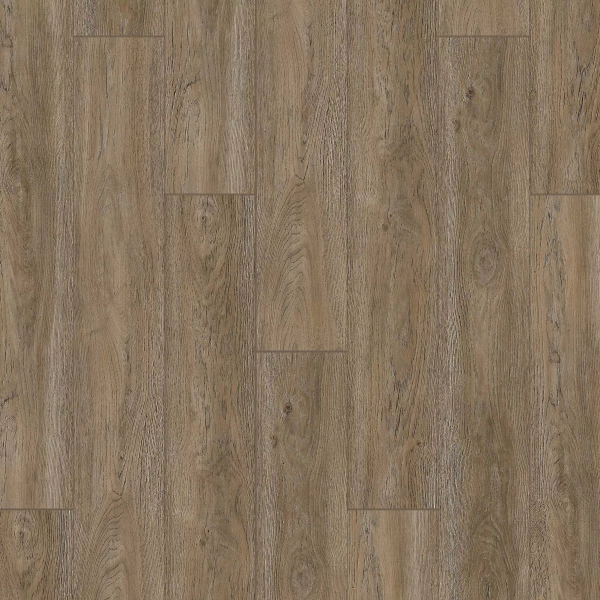 Capuccino Oak Spc - Vinyl – Meghatile