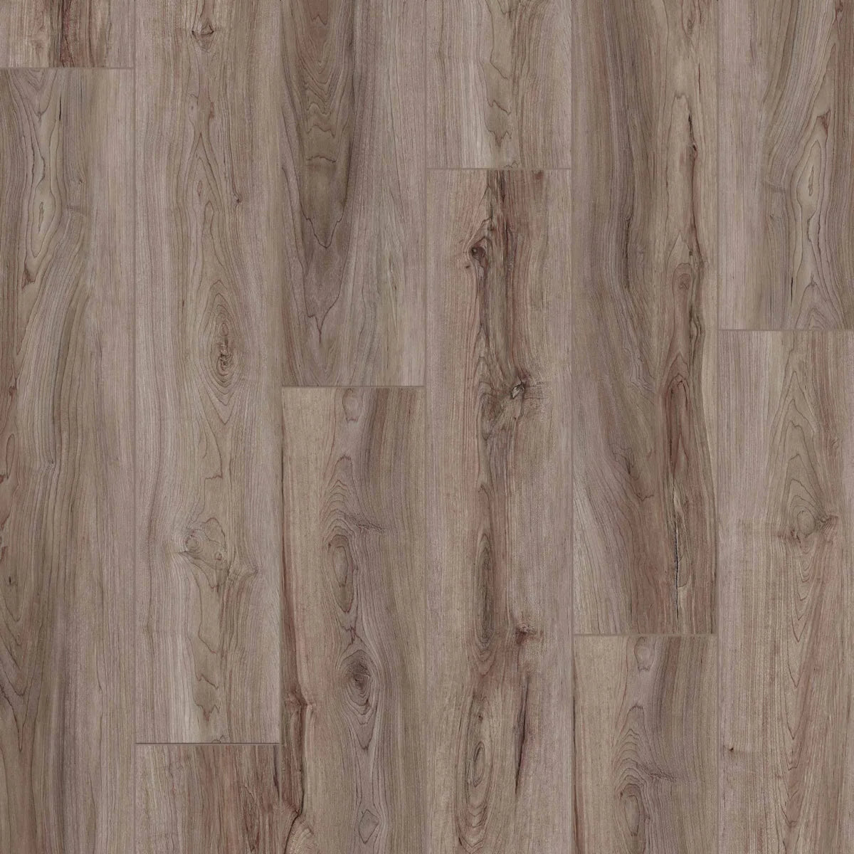 Execution Spc - Vinyl – Meghatile