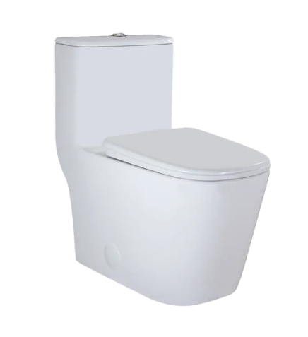 Toilet 5019 Toilets – Meghatile