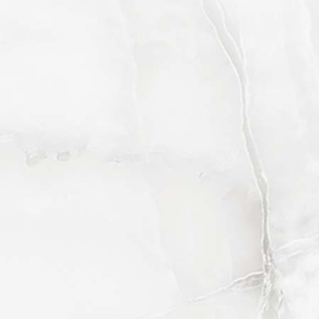 Taj Palace Porcelain – Meghatile